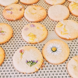 recette-de-biscuits-aux-fleurs-des-champs-comestibles